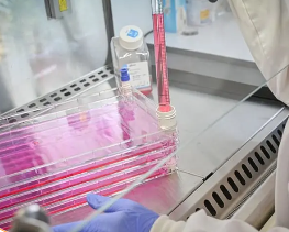 Avances tecnológicos en la industria láctea